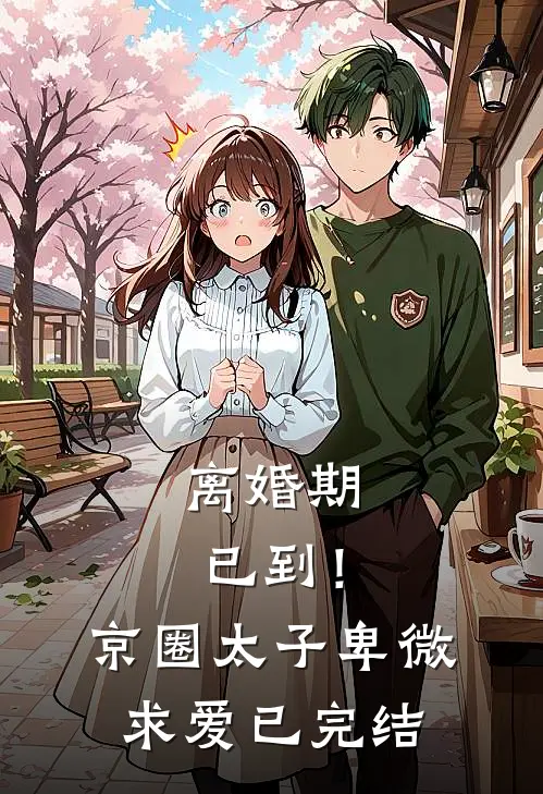 离婚期已到！京圈太子卑微求爱已完结