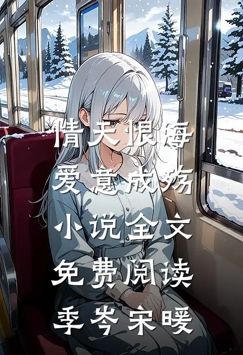 情天恨海，爱意成殇小说全文免费阅读季岑宋暖