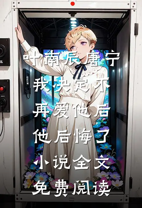 叶南辰唐宁我决定不再爱他后，他后悔了小说全文免费阅读