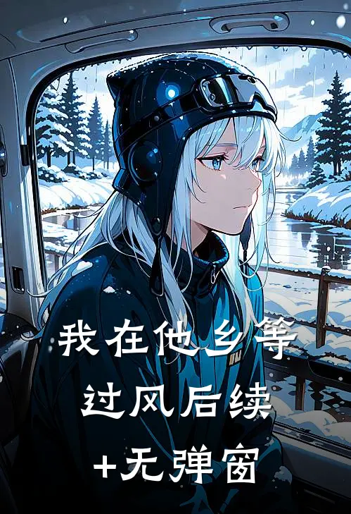 我在他乡等过风后续+无弹窗