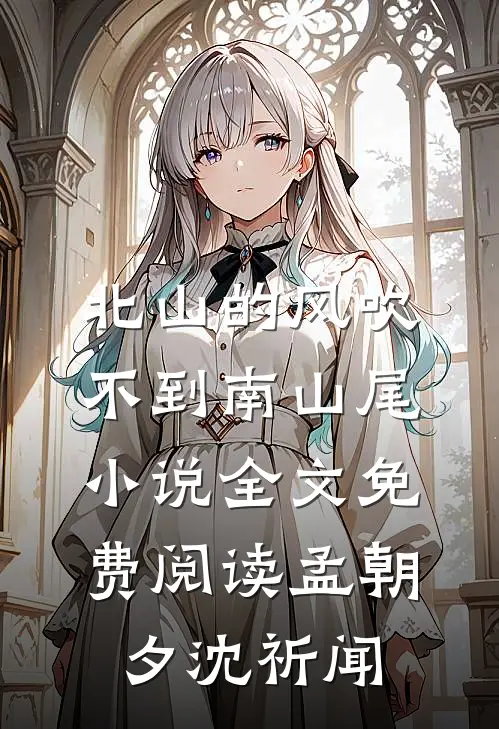北山的风吹不到南山尾小说全文免费阅读孟朝夕沈祈闻