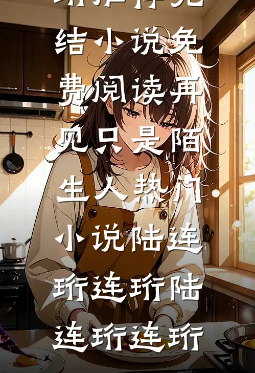 再见只是陌生人热门小说陆连珩连珩