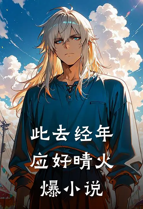 此去经年应好晴火爆小说