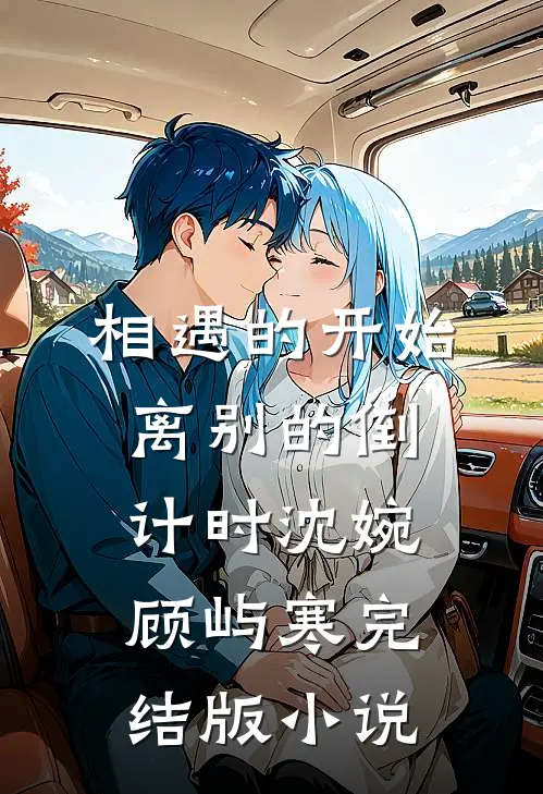 相遇的开始，离别的倒计时沈婉顾屿寒完结版小说