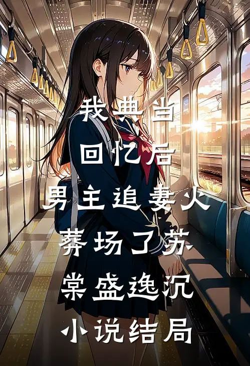 我典当回忆后，男主追妻火葬场了苏棠盛逸沉小说结局