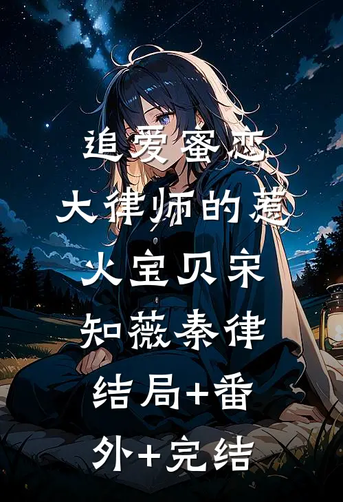 追爱蜜恋：大律师的惹火宝贝宋知薇秦律:结局+番外+完结