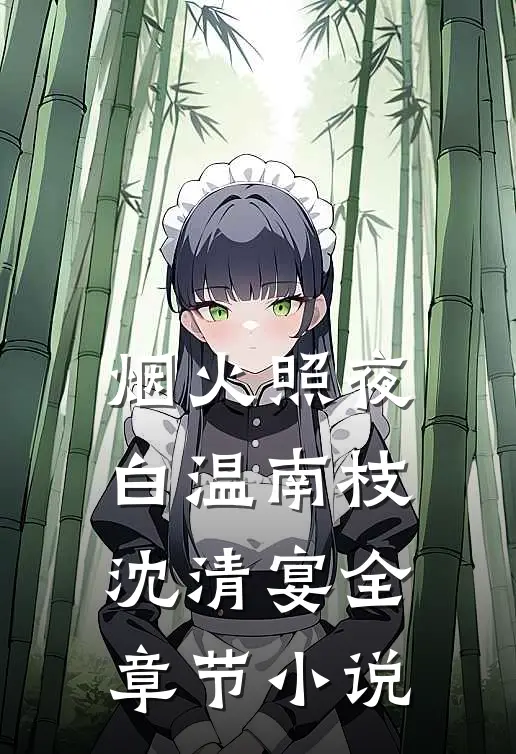 烟火照夜白温南枝沈清宴全章节小说