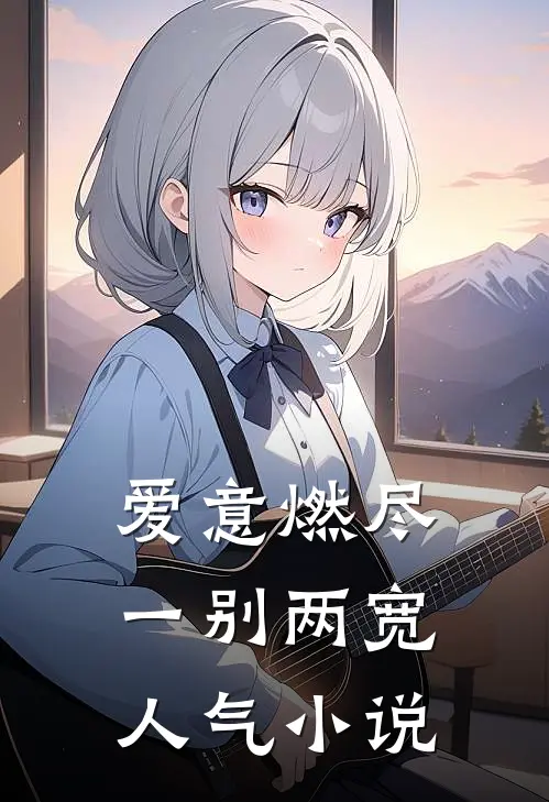爱意燃尽，一别两宽人气小说