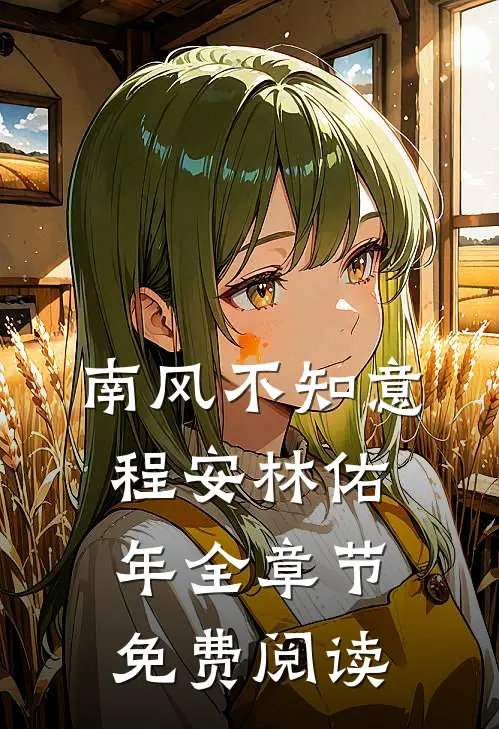 南风不知意程安林佑年全章节免费阅读