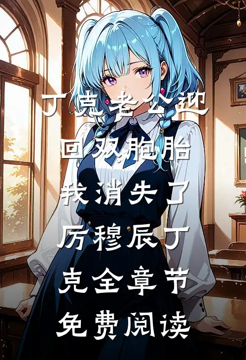 丁克老公迎回双胞胎，我消失了厉穆辰丁克全章节免费阅读