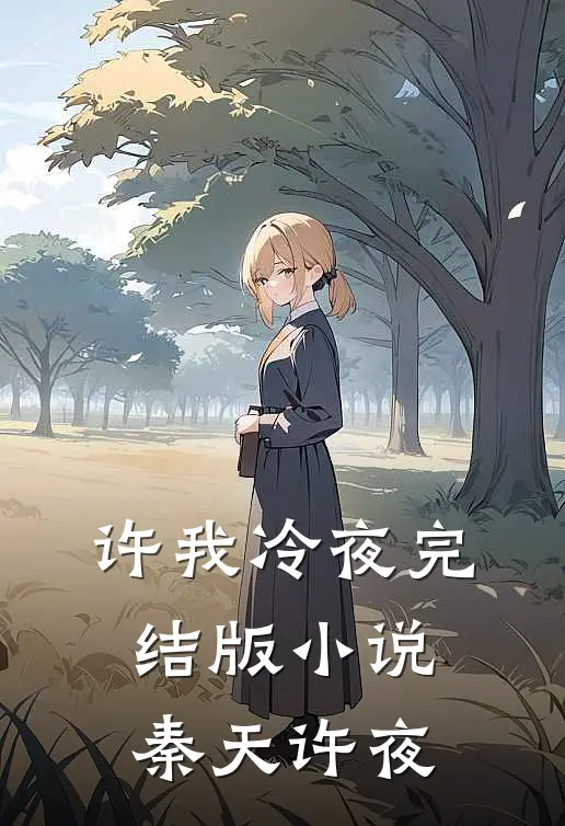 许我冷夜完结版小说秦天许夜
