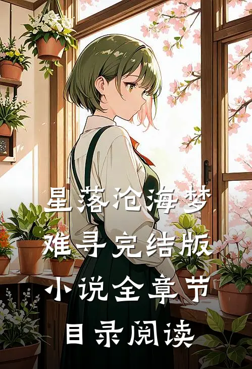 星落沧海梦难寻完结版小说全章节目录阅读