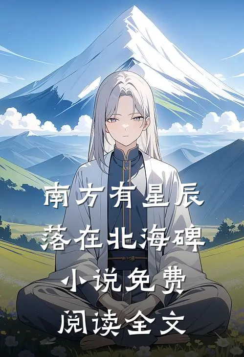 南方有星辰，落在北海碑小说免费阅读全文