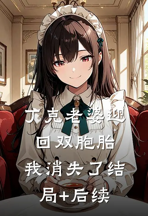 丁克老婆迎回双胞胎，我消失了结局+后续