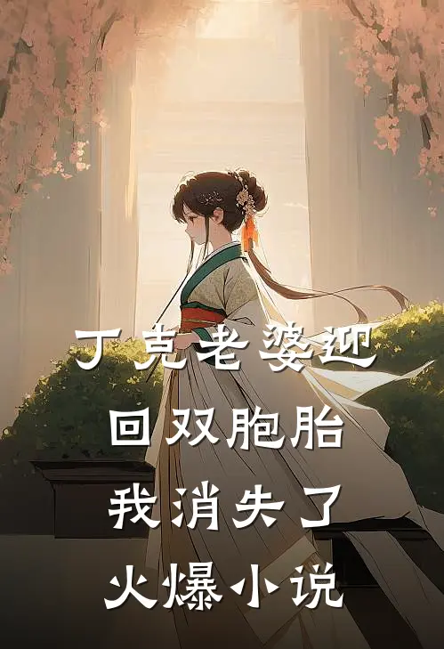 丁克老婆迎回双胞胎，我消失了火爆小说