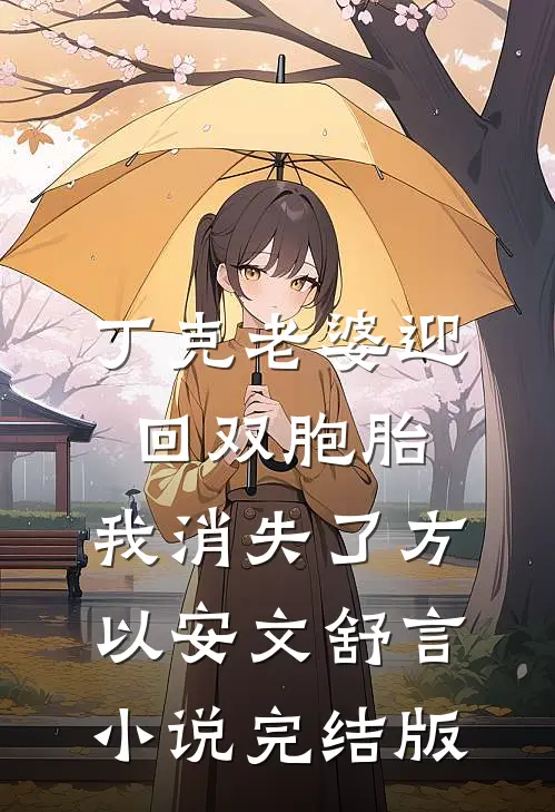 丁克老婆迎回双胞胎，我消失了方以安文舒言小说完结版
