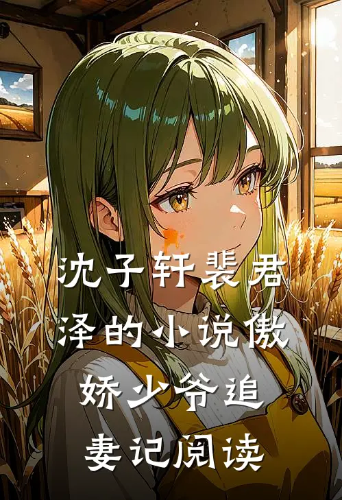 沈子轩裴君泽的小说傲娇少爷追妻记阅读