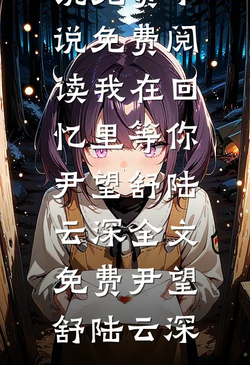 我在回忆里等你尹望舒陆云深全文免费