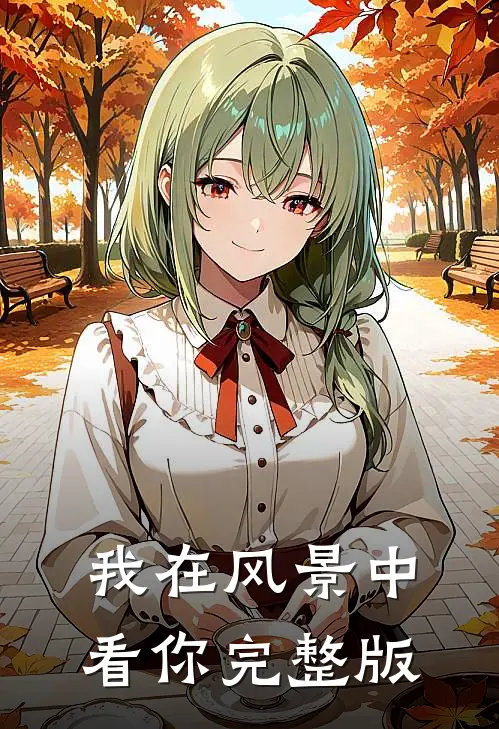 我在风景中看你完整版