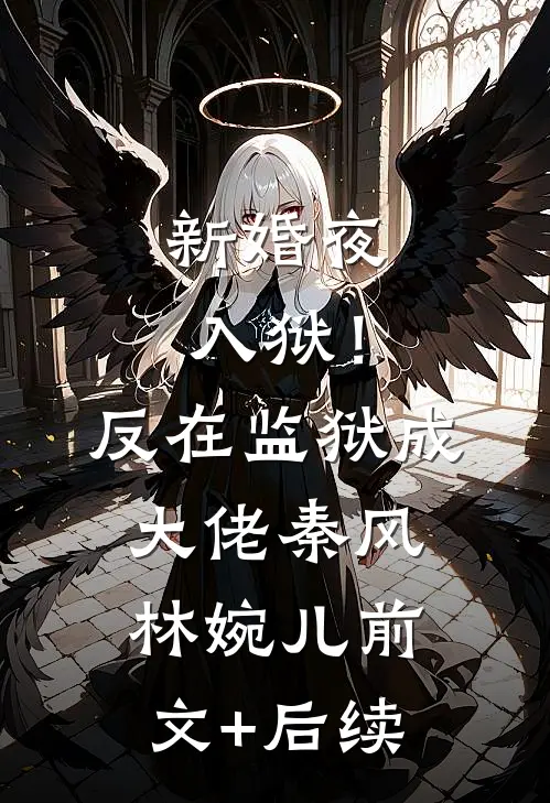 新婚夜入狱！反在监狱成大佬秦风林婉儿:前文+后续