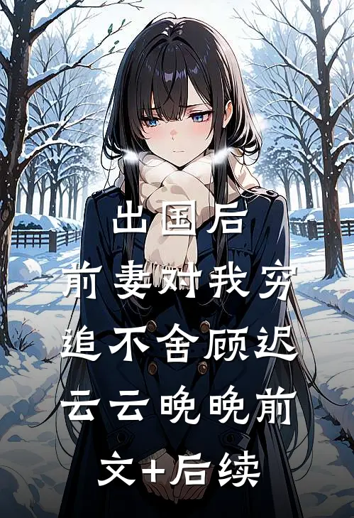 出国后，前妻对我穷追不舍顾迟云云晚晚前文+后续