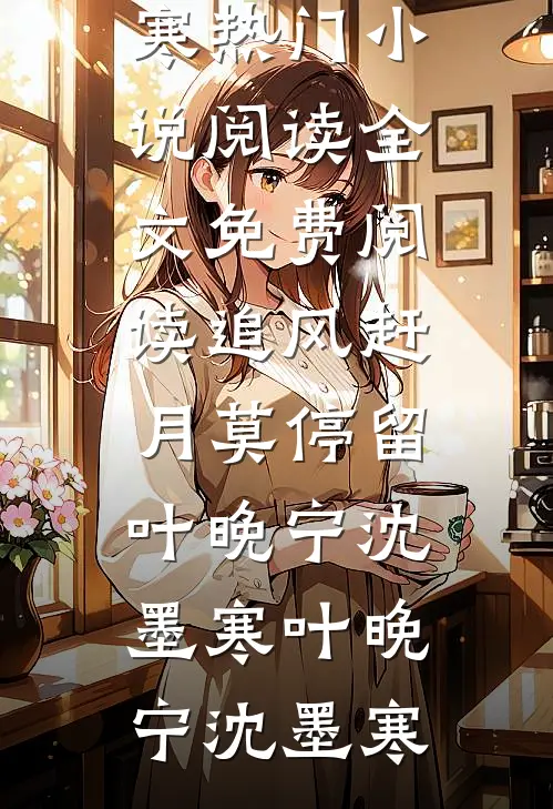 追风赶月莫停留叶晚宁沈墨寒