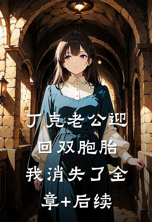 丁克老公迎回双胞胎，我消失了全章+后续