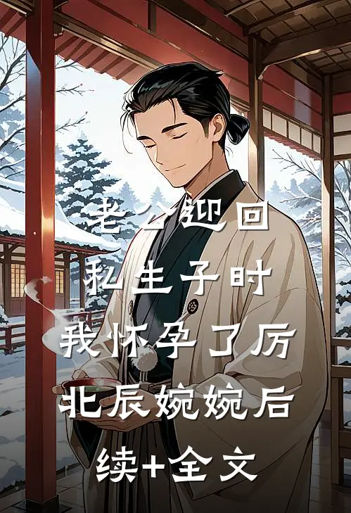 老公迎回私生子时，我怀孕了厉北辰婉婉后续+全文