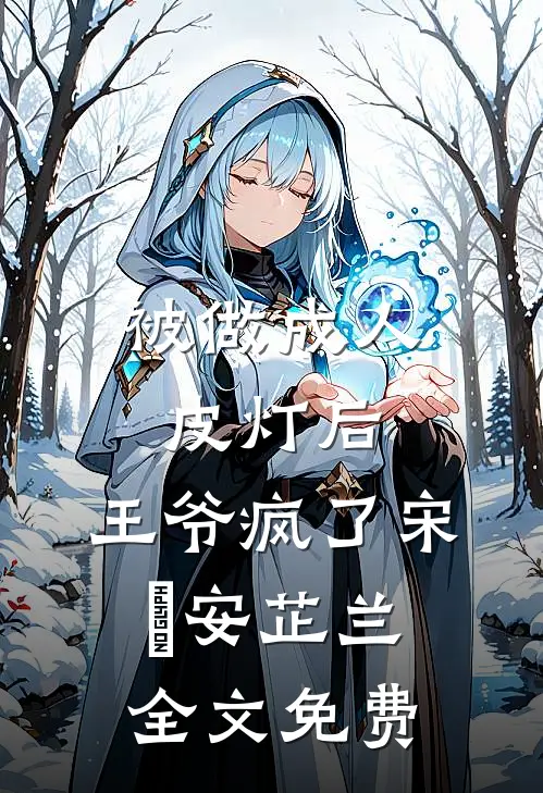 被做成人皮灯后，王爷疯了宋璟安芷兰全文免费