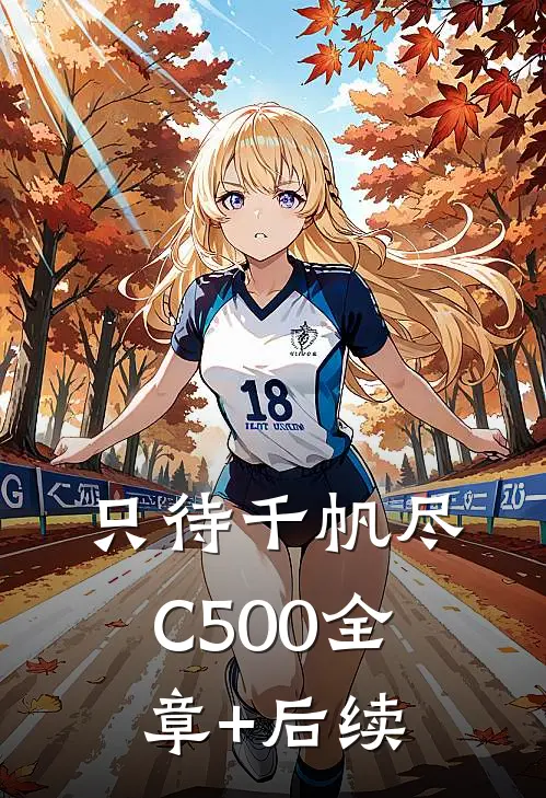 只待千帆尽C500全章+后续