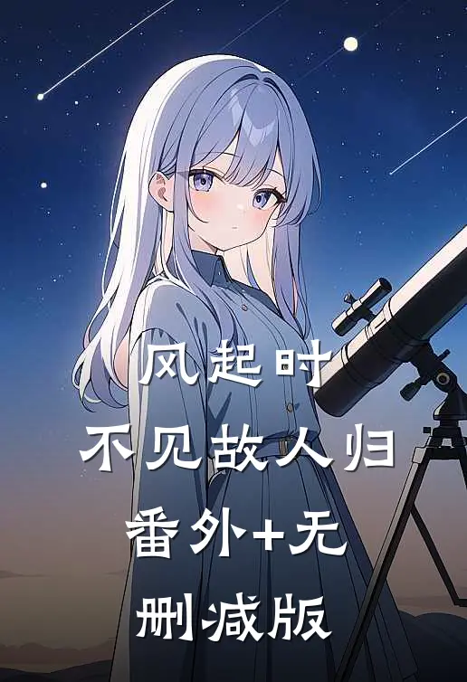 风起时，不见故人归:番外+无删减版