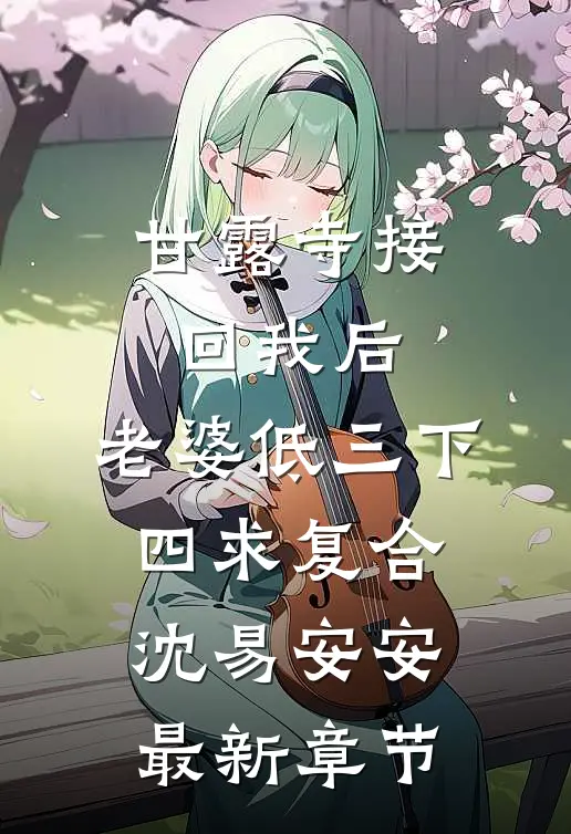 甘露寺接回我后，老婆低三下四求复合沈易安安最新章节