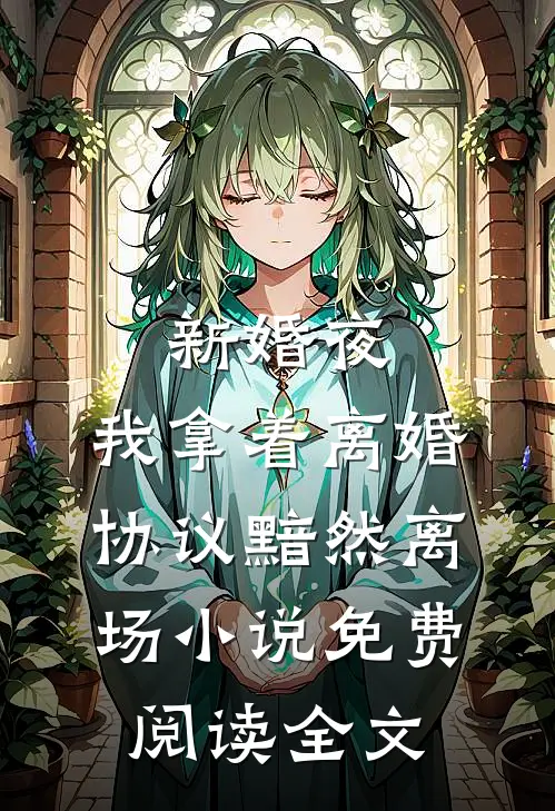 新婚夜，我拿着离婚协议黯然离场小说免费阅读全文