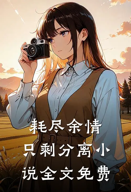 耗尽余情，只剩分离小说全文免费