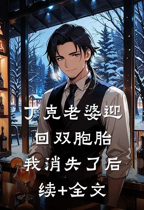丁克老婆迎回双胞胎，我消失了后续+全文
