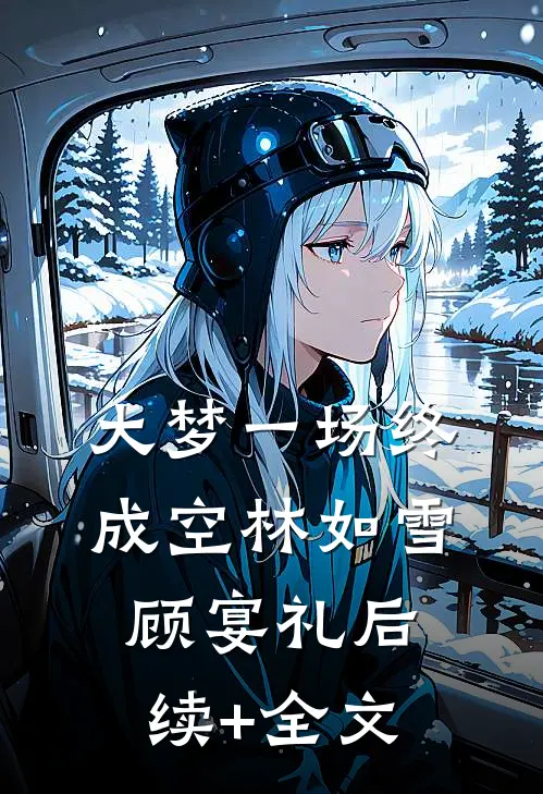 大梦一场终成空林如雪顾宴礼后续+全文