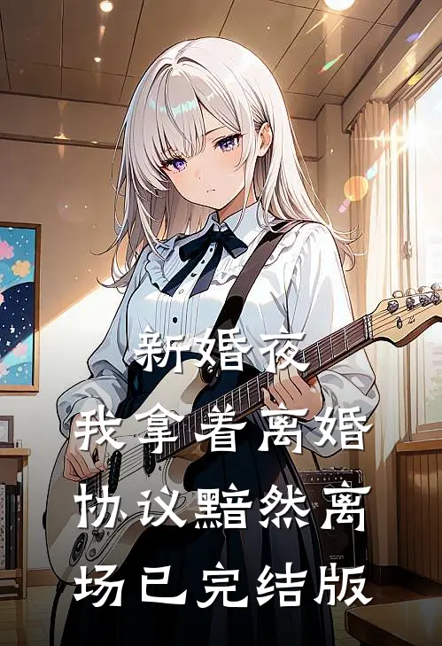 新婚夜，我拿着离婚协议黯然离场已完结版