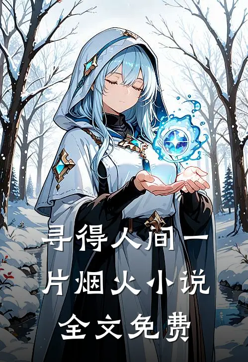 寻得人间一片烟火小说全文免费