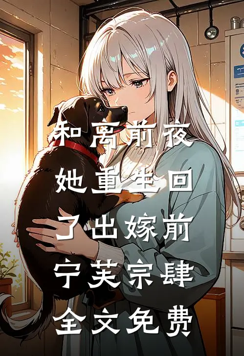 和离前夜，她重生回了出嫁前宁芙宗肆全文免费