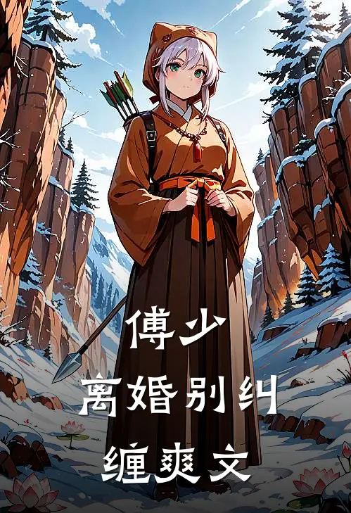 傅少，离婚别纠缠爽文