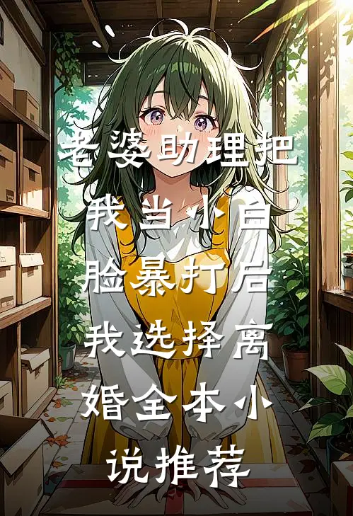 老婆助理把我当小白脸暴打后，我选择离婚全本小说推荐