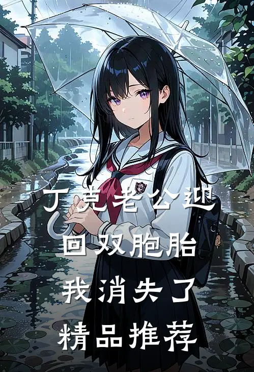 丁克老公迎回双胞胎，我消失了精品推荐