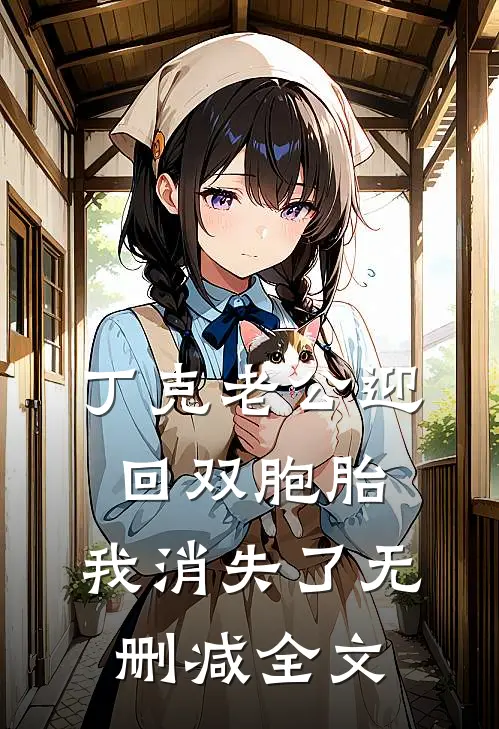 丁克老公迎回双胞胎，我消失了无删减全文