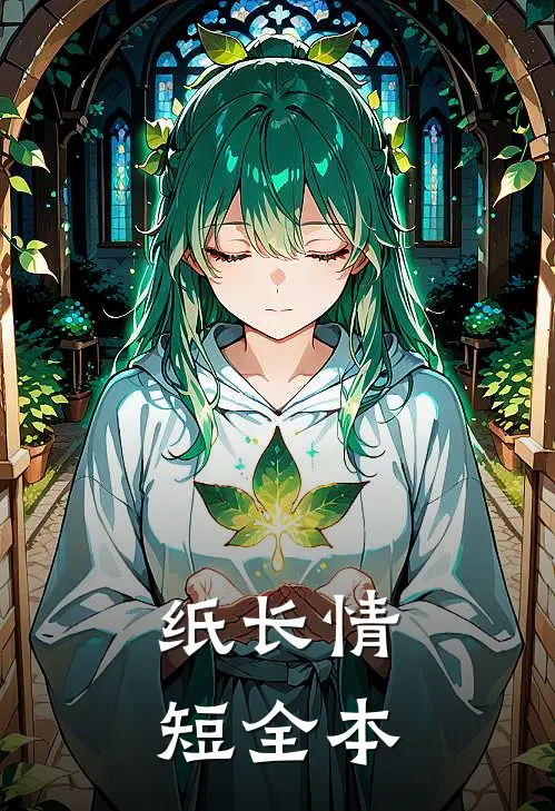 纸长情短全本