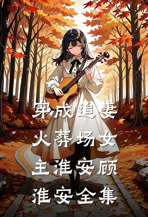 穿成追妻火葬场女主淮安顾淮安全集