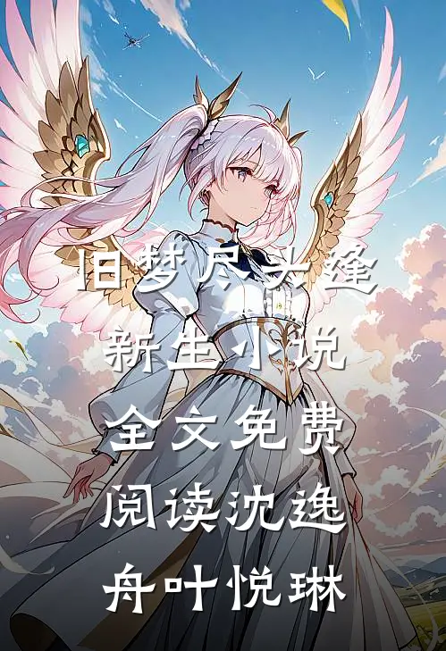 旧梦尽头逢新生小说全文免费阅读沈逸舟叶悦琳
