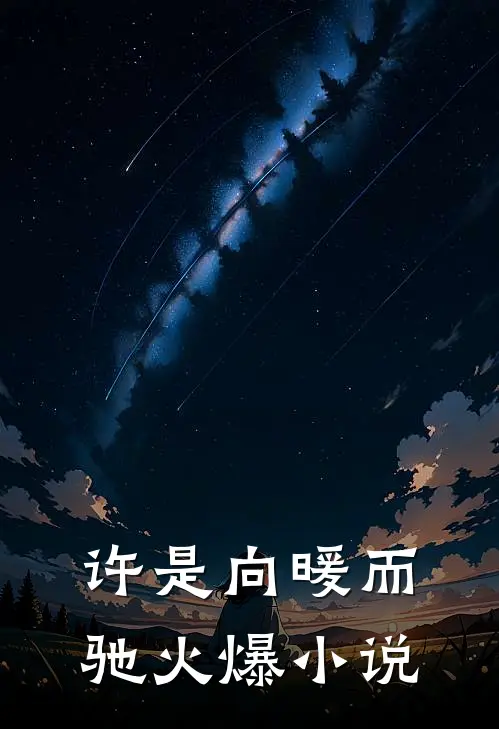 许是向暖而驰火爆小说