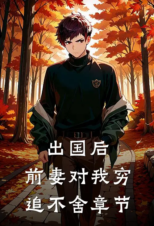 出国后，前妻对我穷追不舍章节