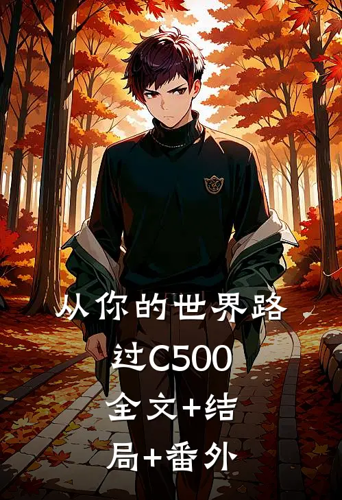 从你的世界路过C500:全文+结局+番外