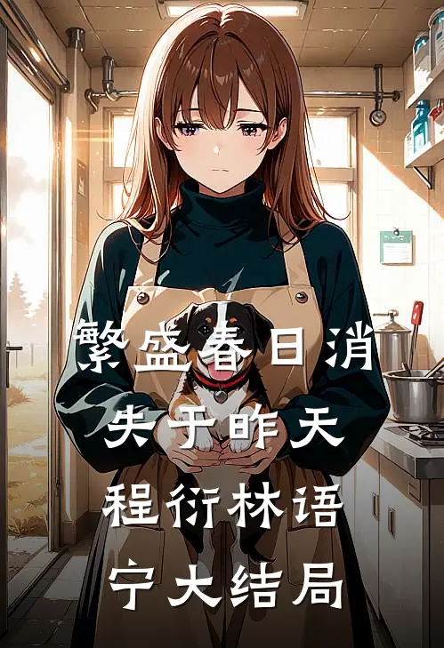 北城再无红颜笑全文+番外